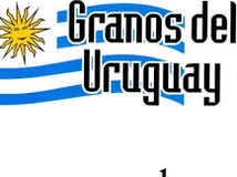 Granos del Uruguay Granos del Uruguay