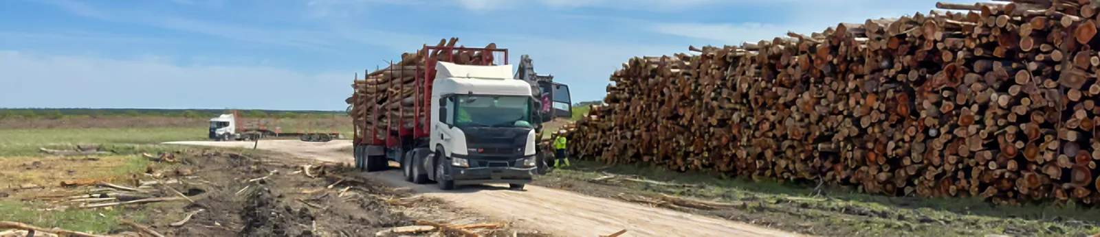 Transporte forestal